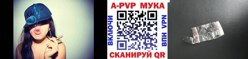 Купить закладки  Щигры  Alpha PVP СК КРИС 