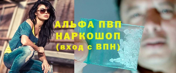 стафф Заволжье