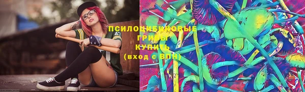 стафф Заволжье
